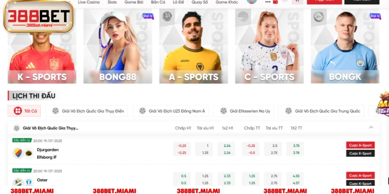 Điều khoản và điều kiện tham gia cá cược tại 388BET